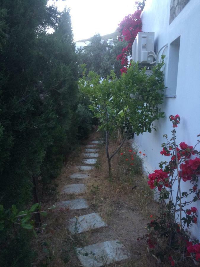 Summer Dream , 5 Min Walk To The Beach Livadakia Екстер'єр фото